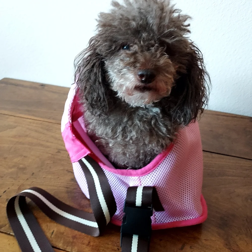 Pink pet carrier